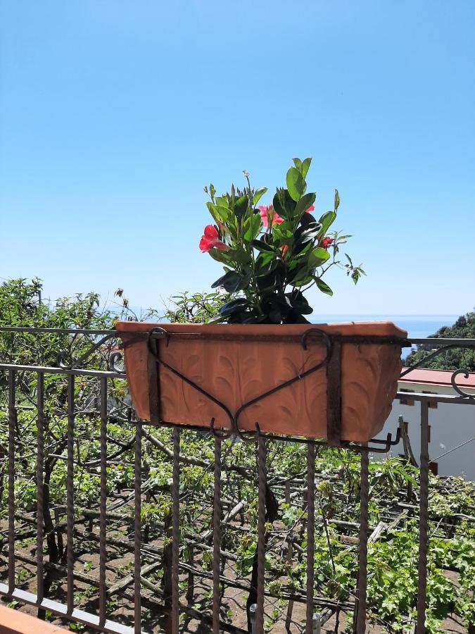 Casa Almary Apartment Amalfi Exterior foto